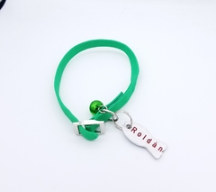 Chapita pezcat + collar verde en internet