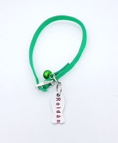Chapita pezcat + collar verde - comprar online