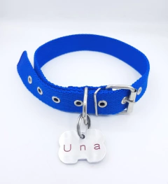 Chapita hueso mediano Magnus canin + collar azul