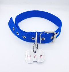 Chapita hueso mediano Magnus canin + collar azul en internet