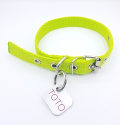 Chapita rectangular chica + collar verde manzana