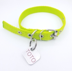 Chapita rectangular chica + collar verde manzana - comprar online