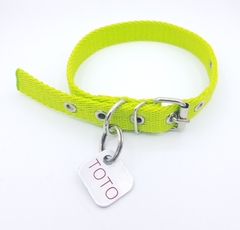 Chapita rectangular chica + collar verde manzana en internet