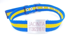 Chapita Pasador para collares de 3cm de ancho + collar Boca