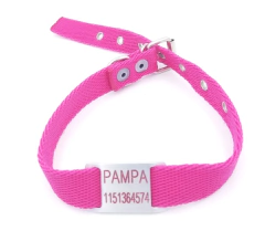 Chapita pasador para collares de 2cm de ancho + collar color fucsia