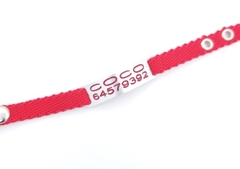 Imagen de Chapita pasador de gatos + Collar NO elastizado rojo