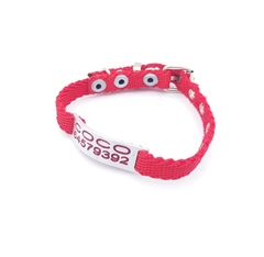 Chapita pasador de gatos + Collar NO elastizado rojo en internet