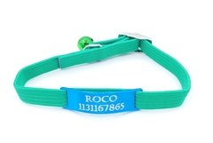 Chapita pasador de gatos turquesa+ Collar elastizado verde en internet