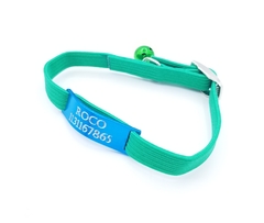Chapita pasador de gatos turquesa+ Collar elastizado verde