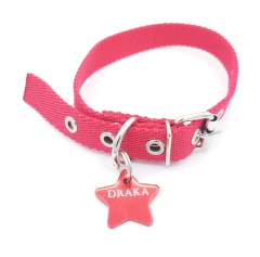 Chapita estrellita color rojo + collar rojo