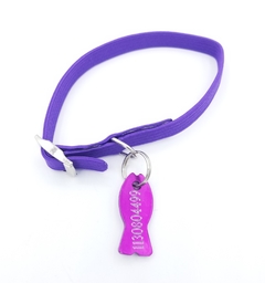 Pescadito para gatos color violeta + collar violeta