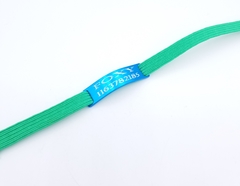 Chapita pasador de gatos turquesa+ Collar elastizado verde - comprar online