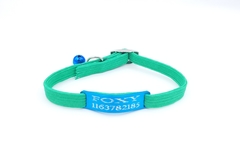 Chapita pasador de gatos turquesa+ Collar elastizado verde - tienda online