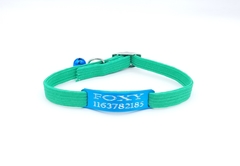 Chapita pasador de gatos turquesa+ Collar elastizado verde