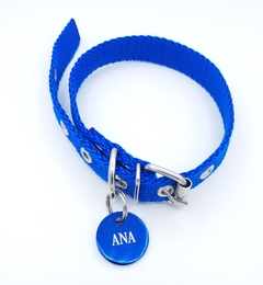 Chapita MiniRoda de color AZUL+ Collar AZUL