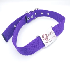 Imagen de Chapita Pasador para collares de 3cm de ancho + dibujo de golden+ collar de color a eleccion