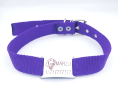 Chapita Pasador para collares de 3cm de ancho + dibujo de golden+ collar de color a eleccion - comprar online