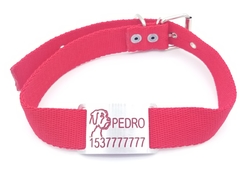 Chapita Pasador para collares de 3cm de ancho + dibujo de Boxer + collar de color a eleccion
