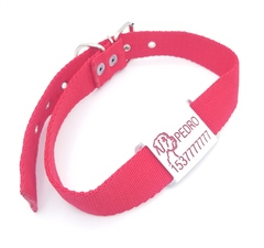 Chapita Pasador para collares de 3cm de ancho + dibujo de Boxer + collar de color a eleccion - Medallas para Perros