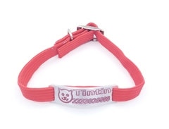 Chapitas Gatos Pop Cara Gatito + Collar 1 Cm Elastizado