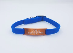 Chapita pasador de gatos anodizada color naranja + collar elastizado azul