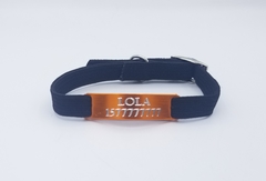 Chapita pasador de gatos anodizada color naranja + collar elastizado negro - tienda online