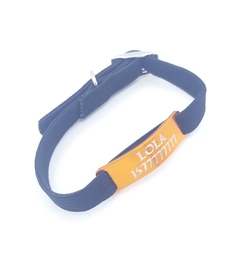 Chapita pasador de gatos anodizada color naranja + collar elastizado negro en internet