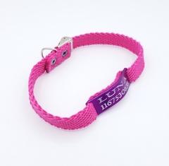 Chapitas Para Gatos Pasador Violeta + Collar De 1 Cm Reforzado Fucsia - tienda online