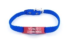 Chapitas Gatos Pasador Rojo + Collar De 1 Cm Reforzado Azul