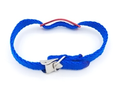 Chapitas Gatos Pasador Rojo + Collar De 1 Cm Reforzado Azul - comprar online