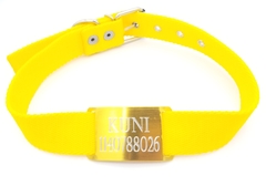 Chapita Perros Pasante Dorada + Collar Y Correa Amarilla - comprar online