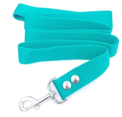 Correa VERDE de 3cm de ancho - comprar online