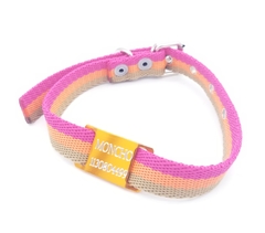 Chapita Pasador anodizado naranja + collar 2cm Tricolor - Medallas para Perros