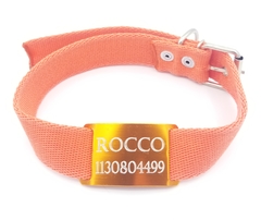 Chapita Perros Pasante + Collar 3cm Naranja
