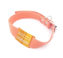 Chapita Perros Pasante + Collar 3cm Naranja - Medallas para Perros