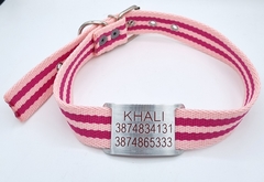 Chapita Perro Pasador Grande 3 Lineas+ Collar FRESH 3x65cm