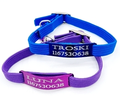 2 Combos Chapita Gato Color + Collar 1 Cm Elastizado VIOLETA AZUL en internet