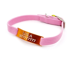 Chapita pasador de gatos anodizada color naranja + collar elastizado Rosa en internet