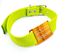 Chapita Perros Pasante Naranja + Collar 3cm Verde Manzana - comprar online