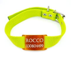 Chapita Perros Pasante Naranja + Collar 3cm Verde Manzana - Medallas para Perros
