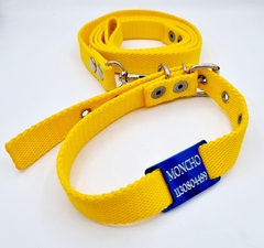 Chapita pasador para collares de 2cm de ancho azul + Collar + Correa Amarillas - Medallas para Perros