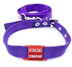 Chapita pasador para collares de 2cm de ancho Roja + Collar + Correa Violeta