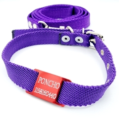 Chapita pasador para collares de 2cm de ancho Roja + Collar + Correa Violeta en internet