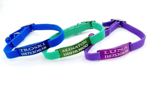 Combos Chapita Gato Color + Collar 1 Cm Elastizado x 3 Unidades