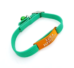 Chapita pasador de gatos anodizada color naranja + collar elastizado VERDE - comprar online