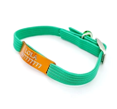 Chapita pasador de gatos anodizada color naranja + collar elastizado VERDE en internet