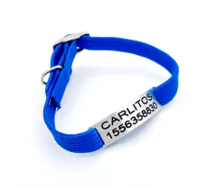 Chapita pasador para gatos grabada en negro + collar azul - comprar online