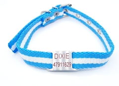 Chapita pasador para collares de 2cm de ancho + collar color Argentina