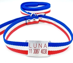 Chapita Pasador + collar y Correa frances 3cm de ancho en internet