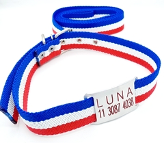 Chapita Pasador + collar y Correa frances 3cm de ancho